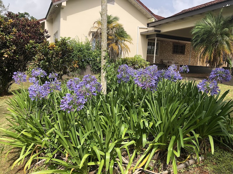 Agapantha Cottage in Mandeville, Jamaica