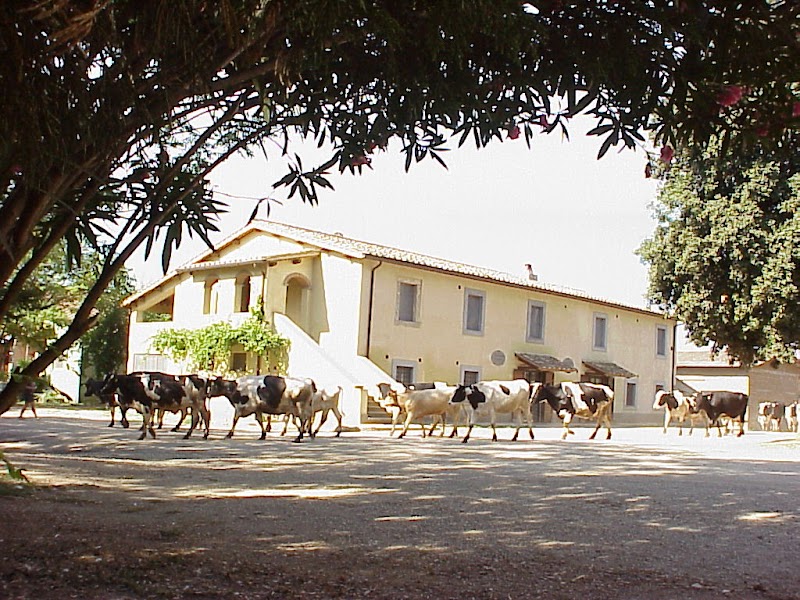 Agriturismo Biobagnolese in Bracciano, Italy