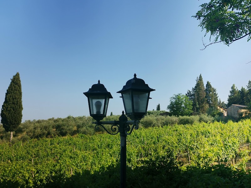 Agriturismo Cameli in Certaldo, Italy