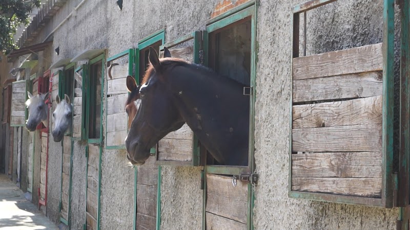 Agriturismo Fasano in Cassano delle Murge, Italy