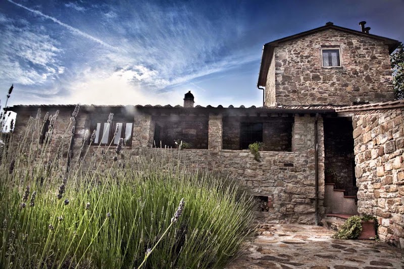 Agriturismo Fattoria Montelucci in Bucine, Italy