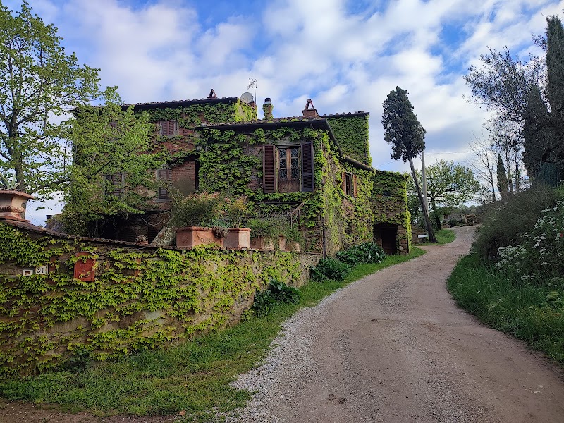 Agriturismo Il Belvedere in Castiglion Fiorentino, Italy
