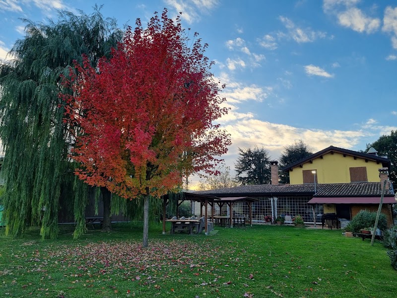 Agriturismo Il Gualdo di Sotto in Faenza, Italy