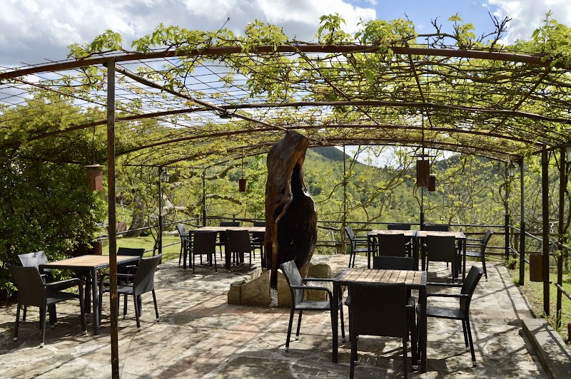 Agriturismo La Contessa Quarter Horse in Gubbio, Italy