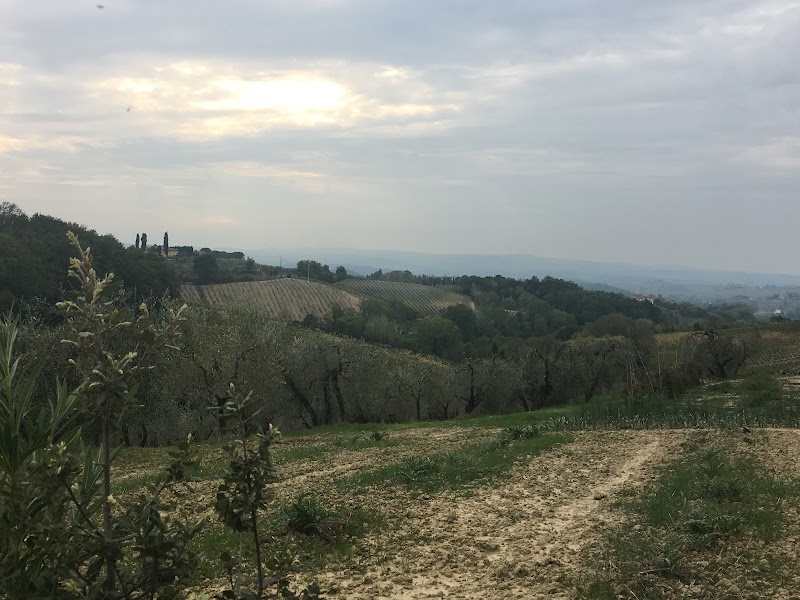 Agriturismo La Corte dei Cavalli in Certaldo, Italy