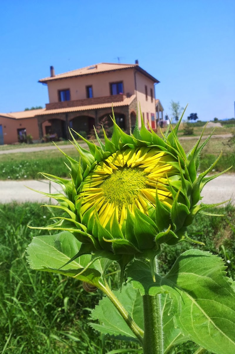 Agriturismo La Nocciolina in Campiglia Marittima, Italy