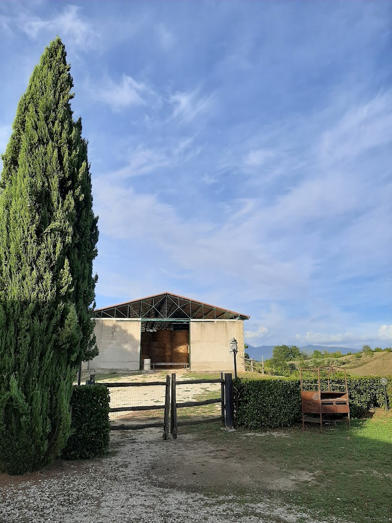Agriturismo Le Mandriacce in Fara in Sabina, Italy
