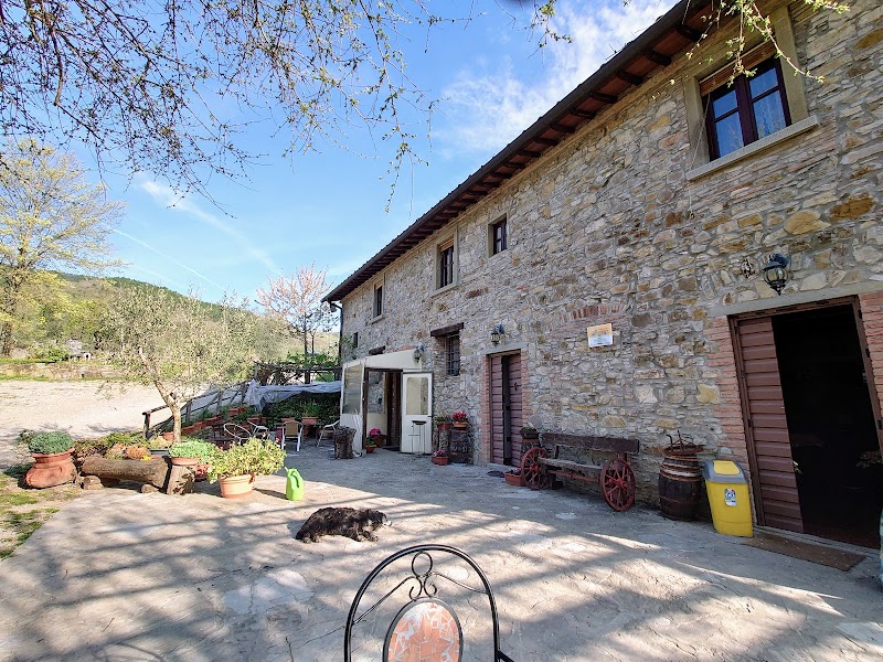 Agriturismo Massoserpente in Barberino di Mugello, Italy