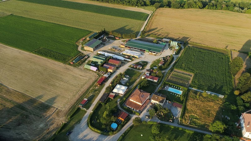Agriturismo Palazzo Vecchio in Barberino di Mugello, Italy