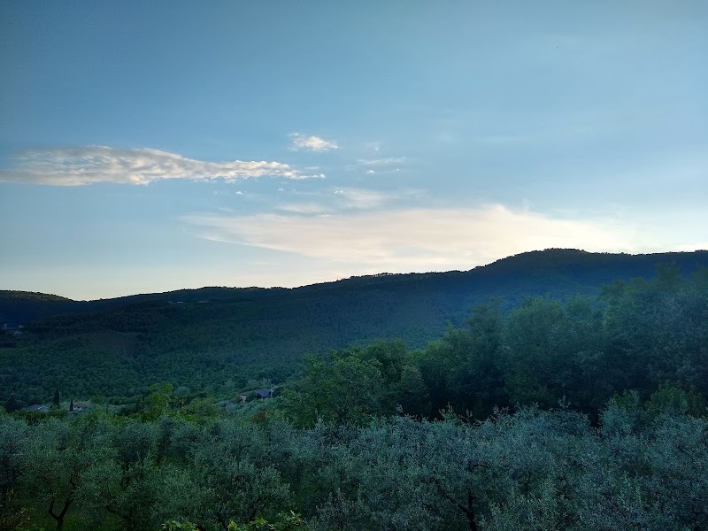 Agriturismo Podere Scopitino in Bucine, Italy