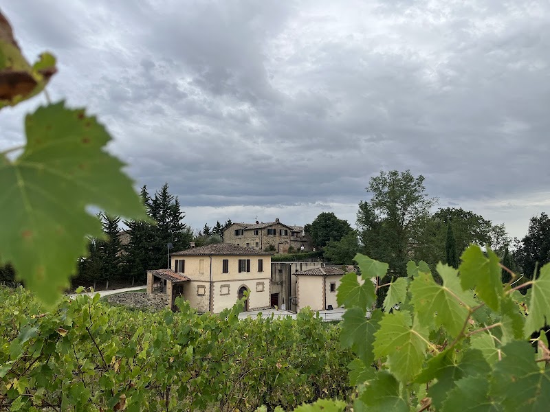 Agriturismo Poggio Bonelli in Castelnuovo Berardenga, Italy