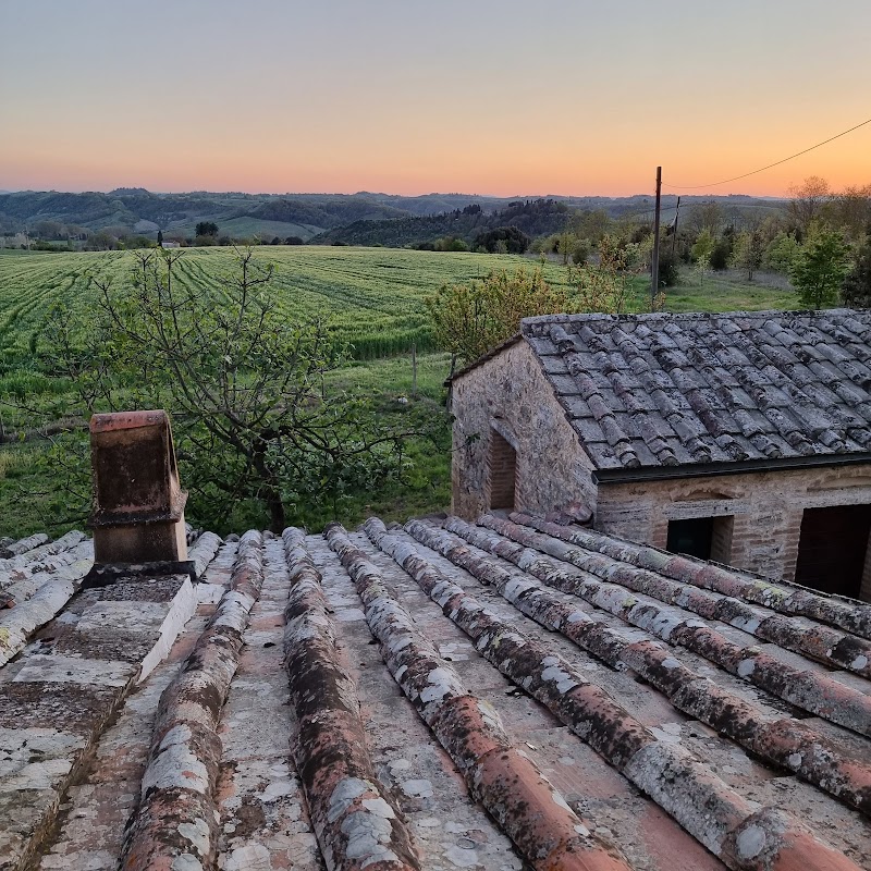 Agriturismo Tenuta Armaiolo in Castelnuovo Berardenga, Italy
