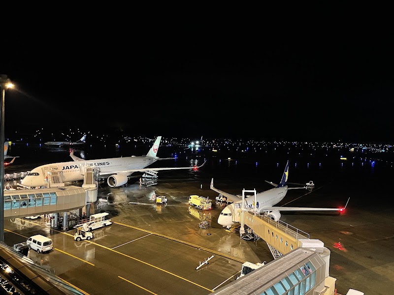 Air Terminal Hotel in Chitose, Japan