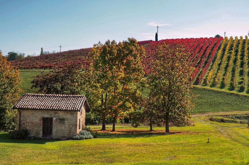 Albergo Zoello Je Suis in Castelvetro di Modena, Italy