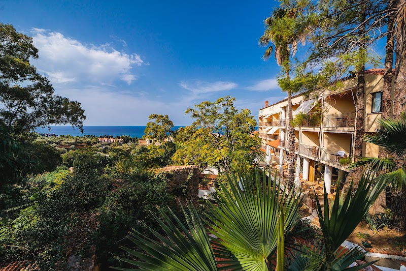 Alberi del Paradiso in Cefalu, Italy