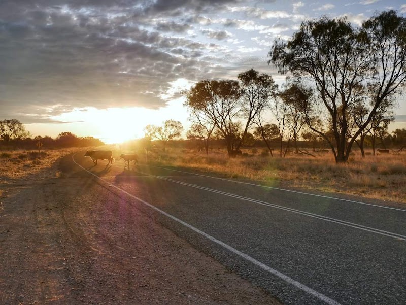 Alice in the Territory in Alice Springs, Australia