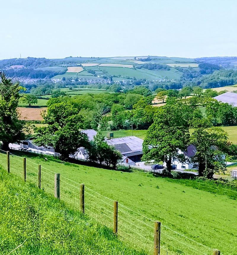 Alltyfyrddin Farm in Caerfyrddin, United Kingdom