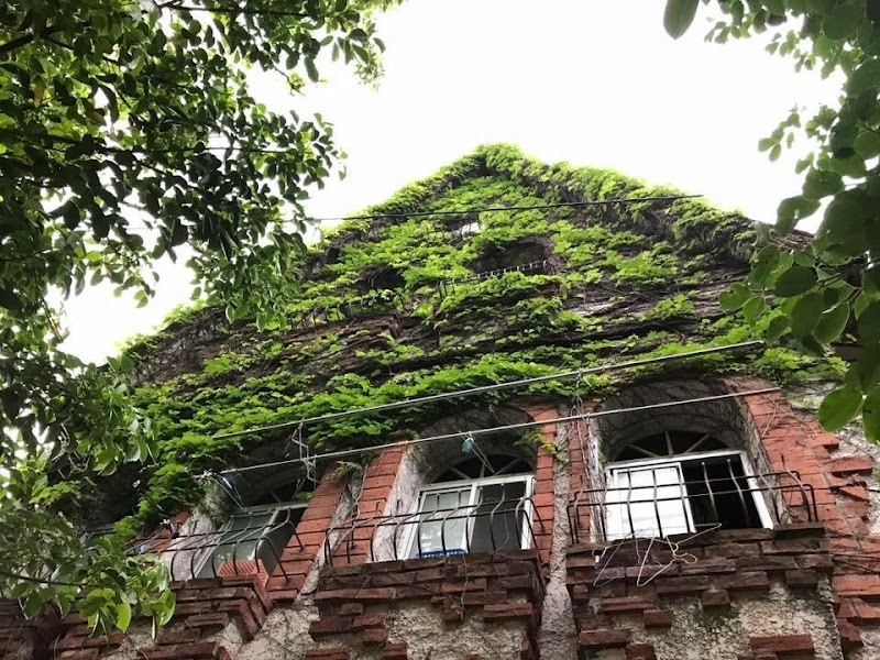 Amami Guest House Tege Tege in Amami, Japan