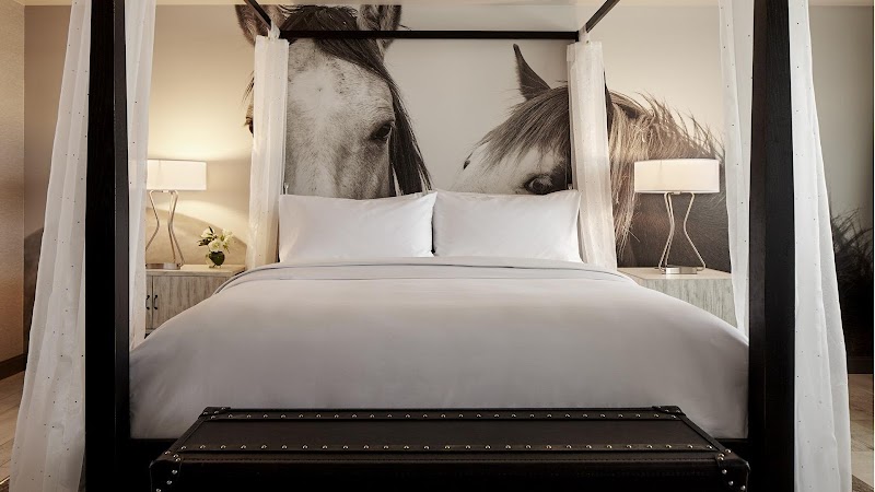 Archer Hotel Austin in Austin, United States