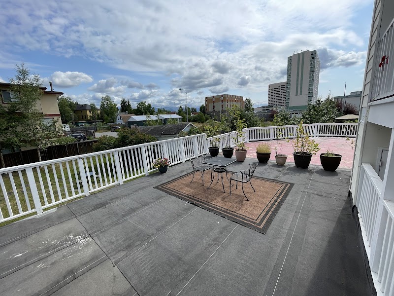 Arctic Fox in Anchorage, United States