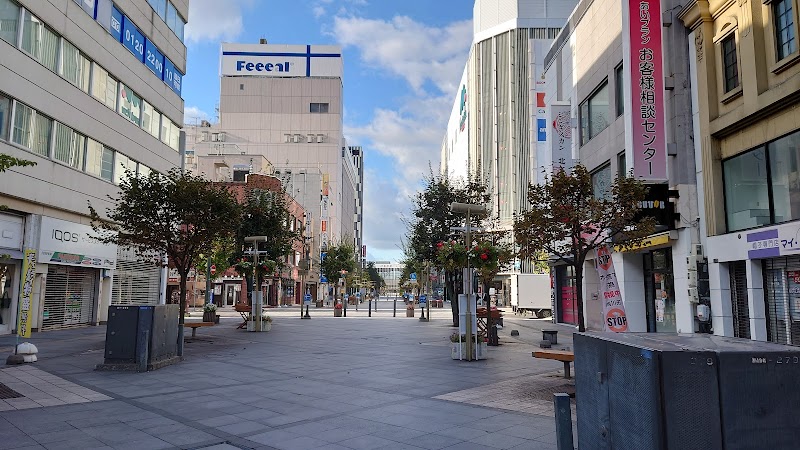 Asahikawa Sun Hotel in Asahikawa, Japan