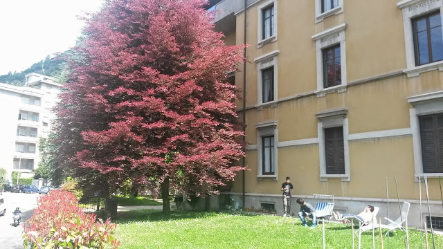 B&B Casa Gentile in Castellana Grotte, Italy