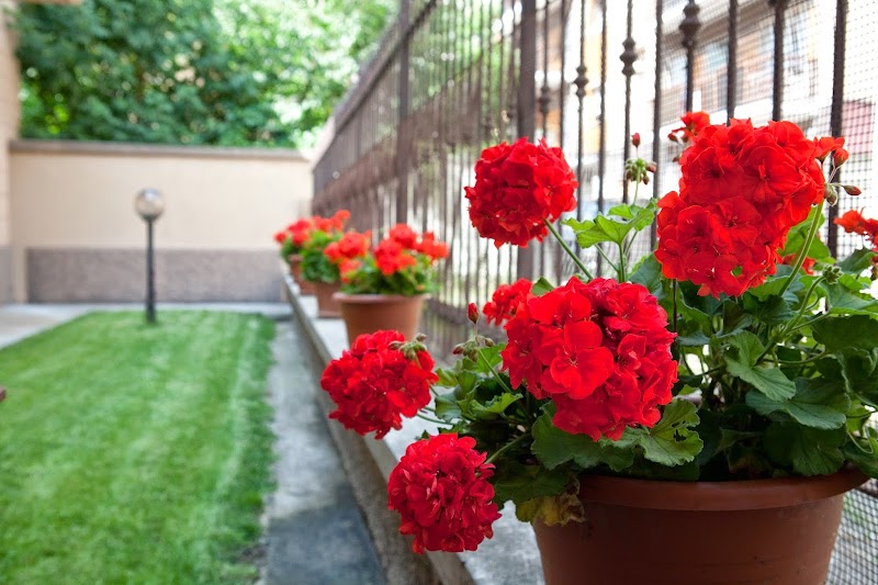 B&B Casa Liberty in Acqui Terme, Italy