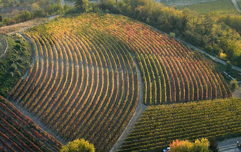 B&B Casa Soave in Alba, Italy