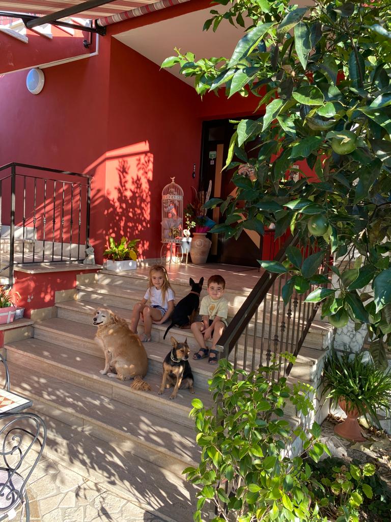 B&B Casa degli Ulivi in Anguillara Sabazia, Italy