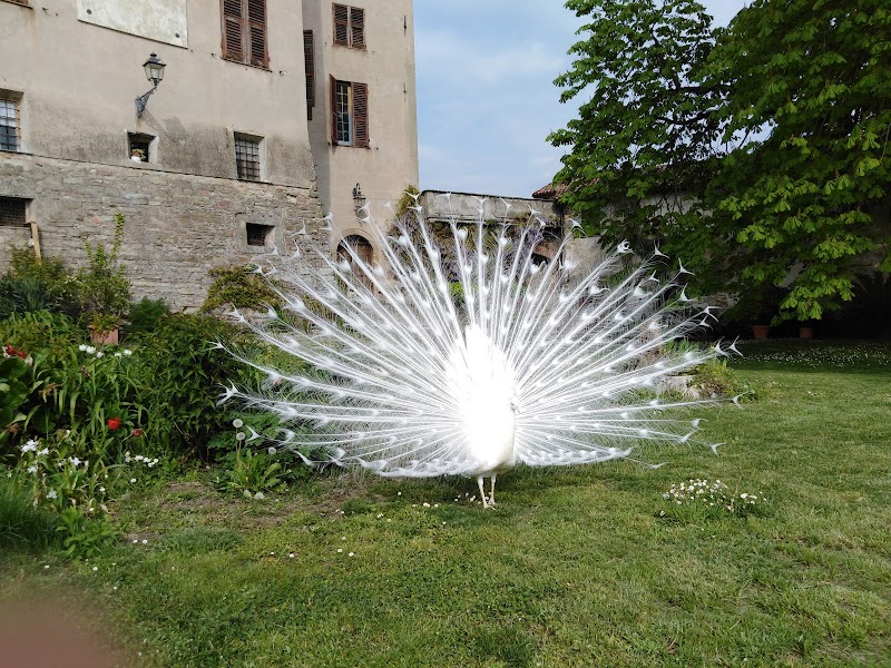 B&B Castello di Morsasco in Acqui Terme, Italy