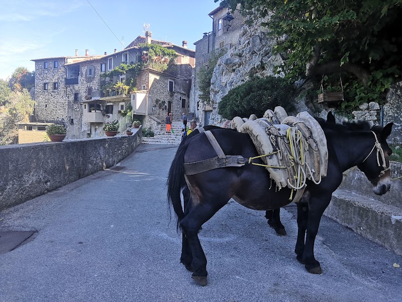 B&B Dell'Artista in Artena, Italy