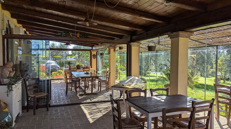 B&B Gli Ulivi in Cerveteri, Italy