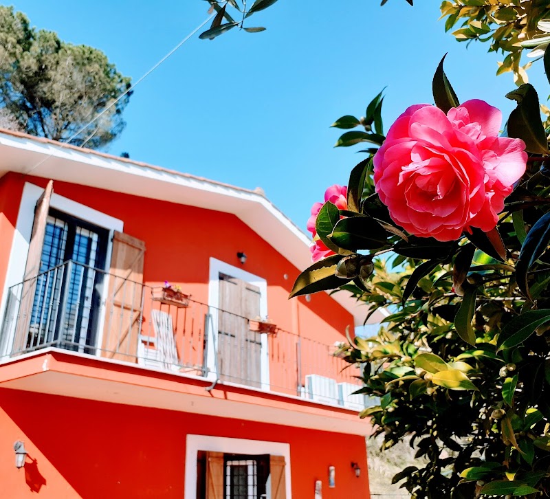 B&B Il Giardino delle Camelie in Bracciano, Italy