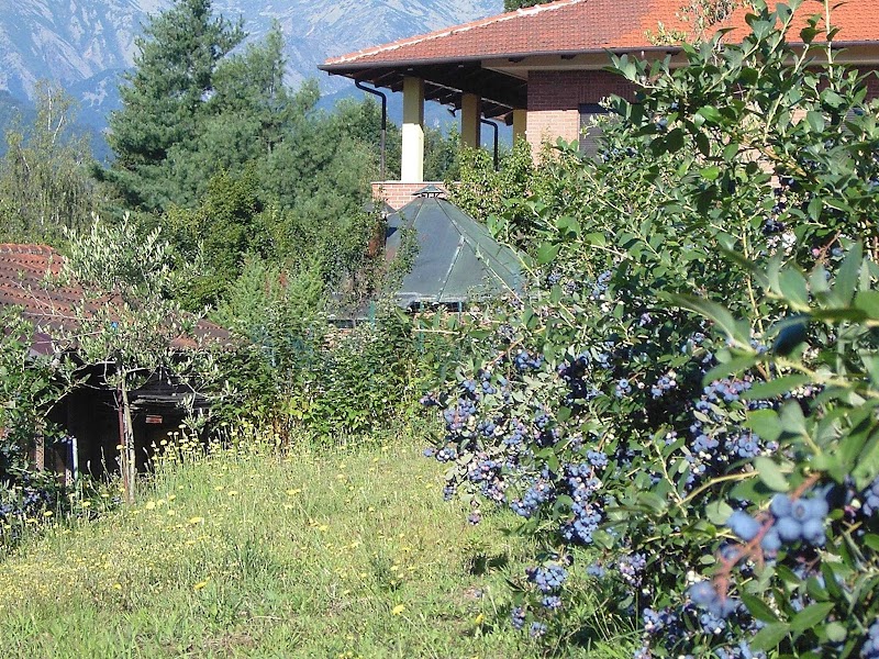 B&B Il Ginepro in Avigliana, Italy