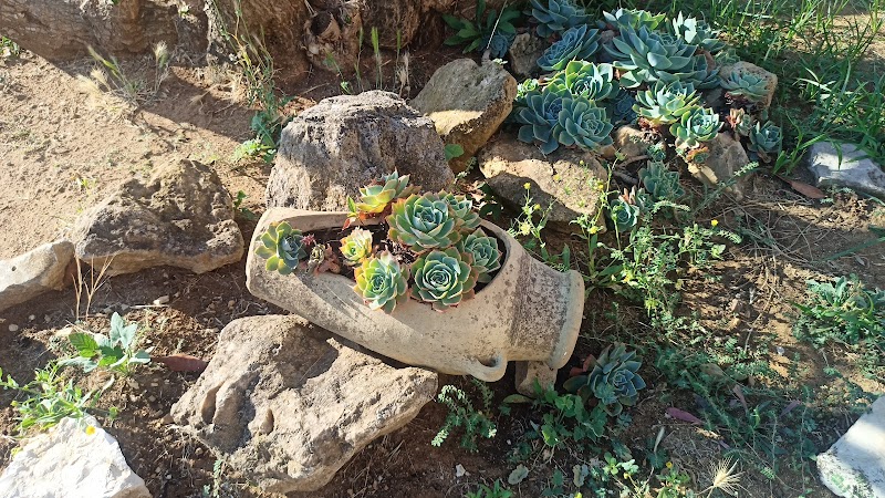 B&B Il Glicine in Fondi, Italy