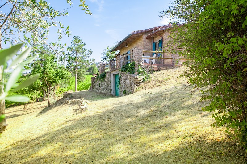 B&B Il Vigneto in Bertinoro, Italy