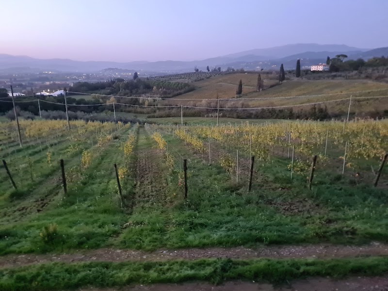 B&B L'Accademia in Arezzo, Italy