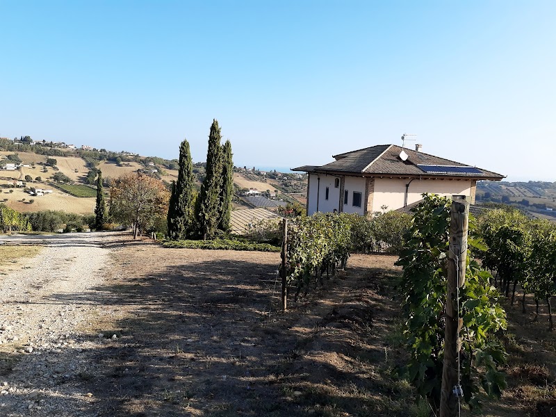 B&B L'Orso e l'Ape in Alba, Italy