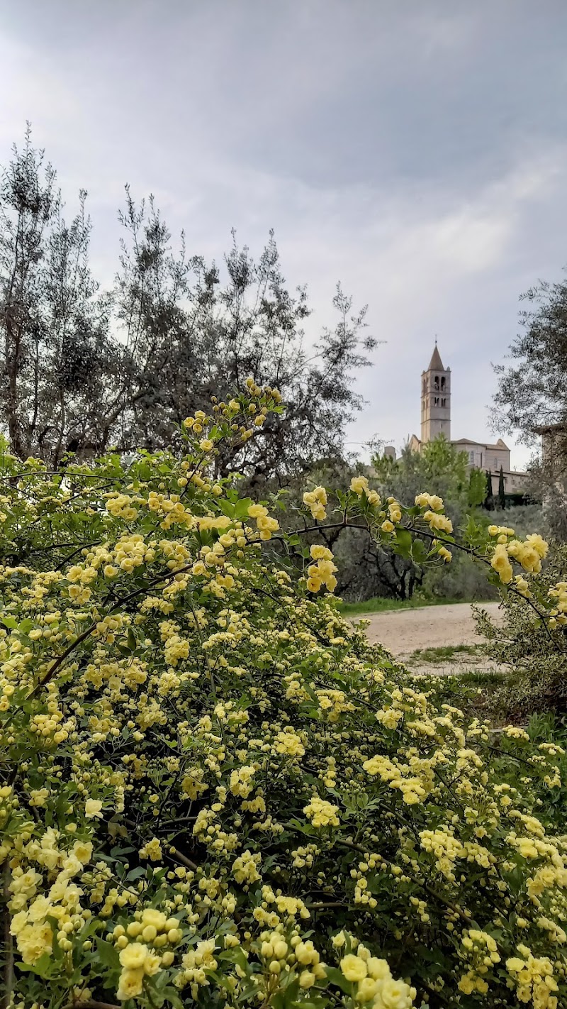 B&B La Casa Di Famiglia in Cassino, Italy