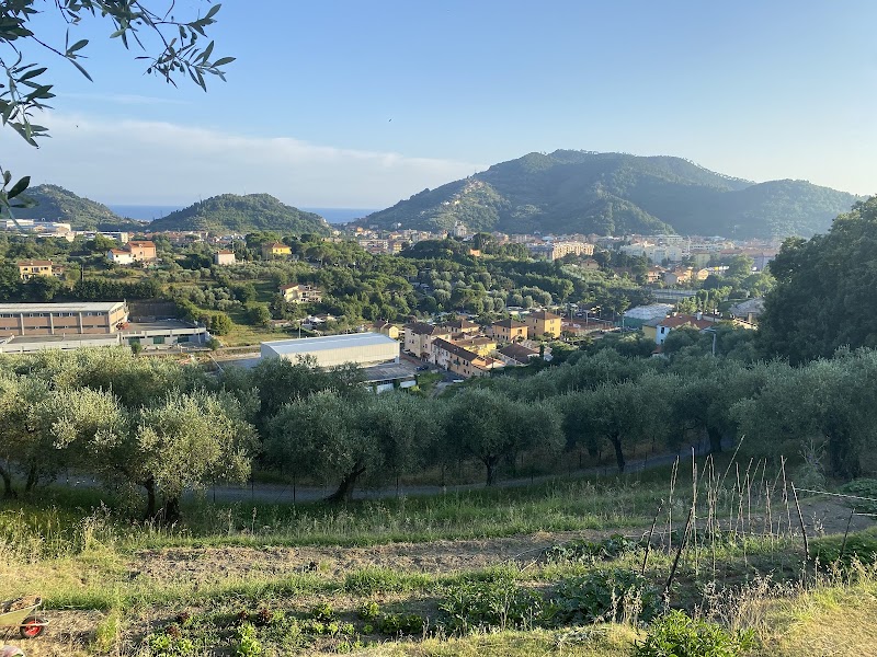 B&B La Casa Sul Colle in Castellaneta, Italy