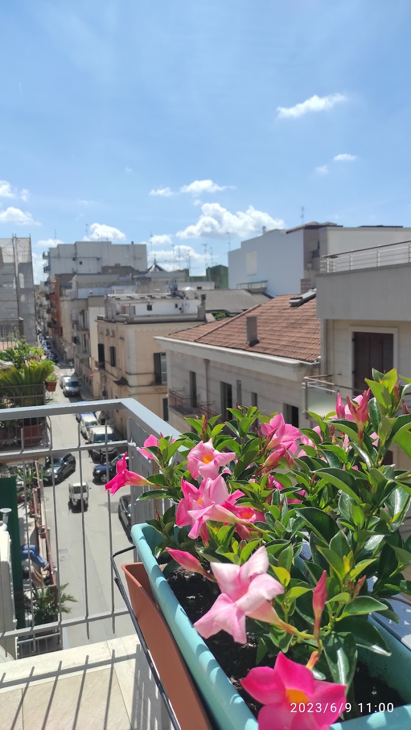 B&B La Casa di Grazia in Gravina in Puglia, Italy