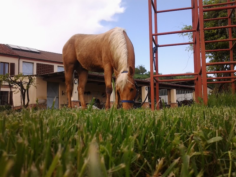 B&B La Crota in Asti, Italy