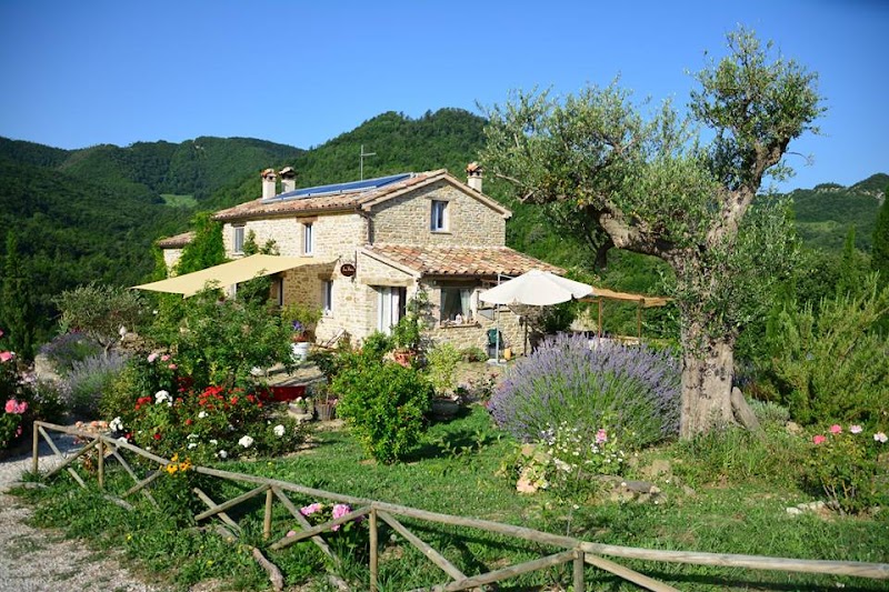 B&B La Pace in Bibbiena, Italy