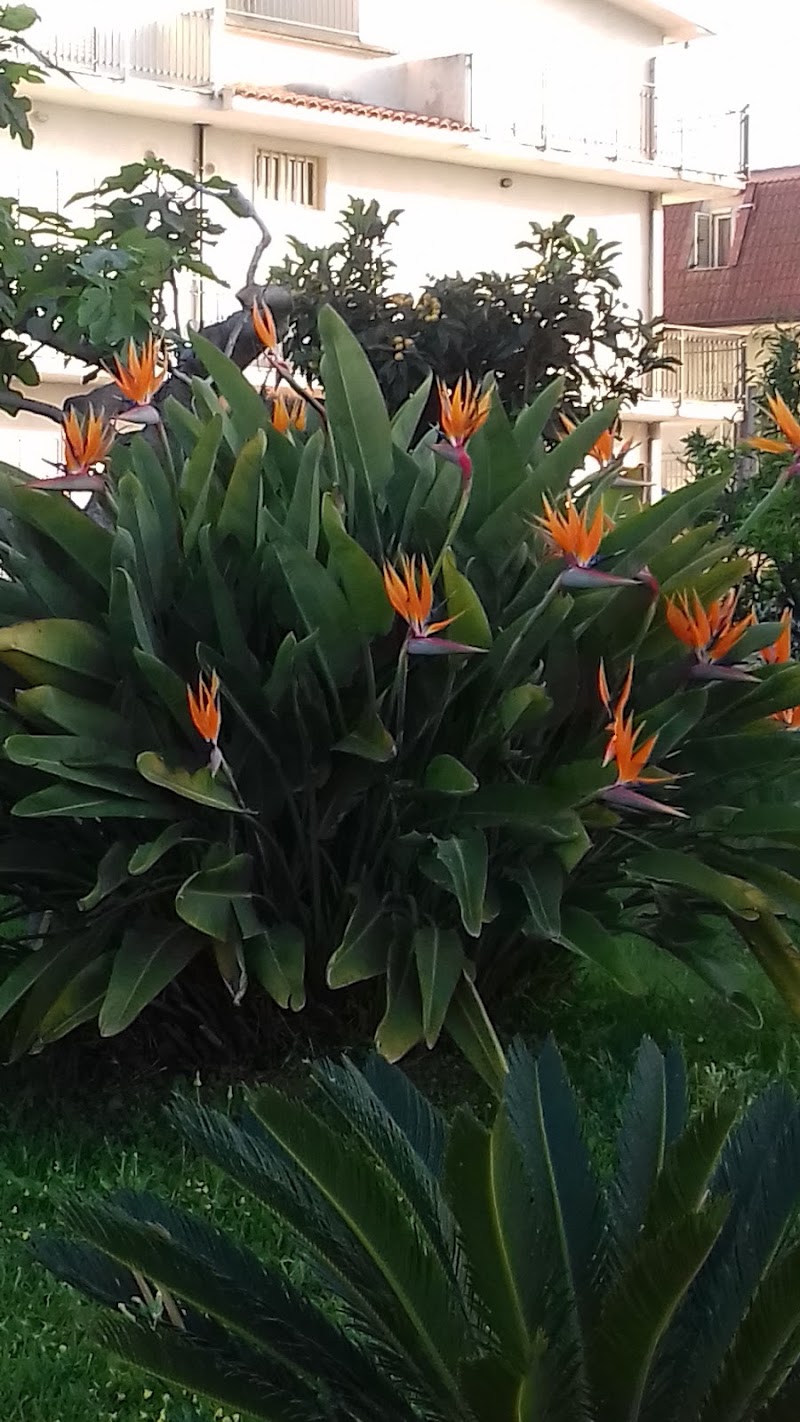 B&B La Rosa in Amantea, Italy