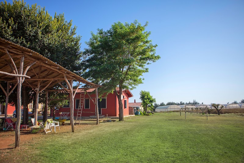 B&B La Tana del Gatto in Cerveteri, Italy