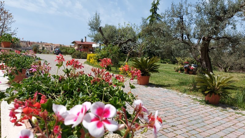 B&B La Terrazza di Frascati in Frascati, Italy