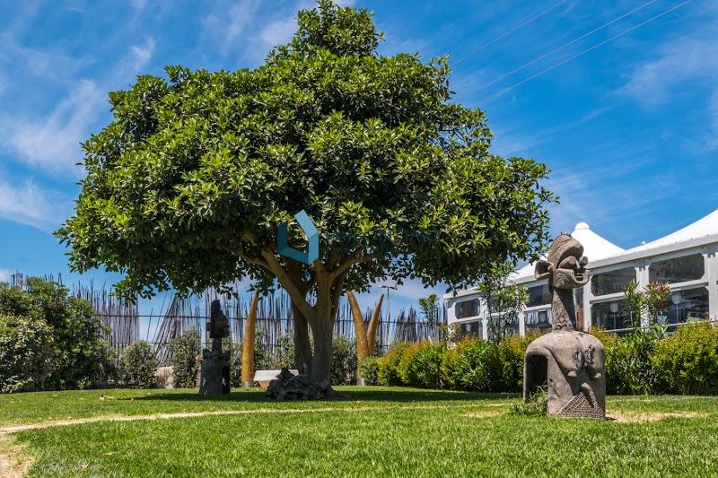 B&B Le Dune in Altavilla Milicia, Italy