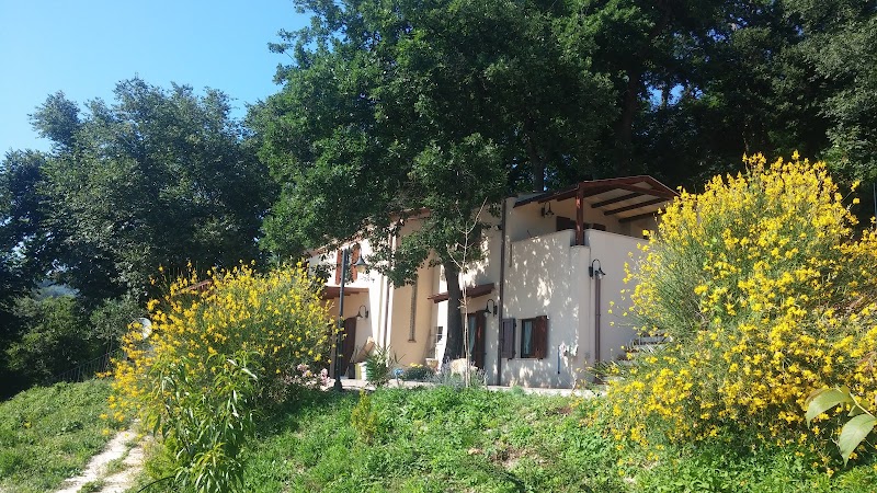 B&B Le Querce in Ancona, Italy