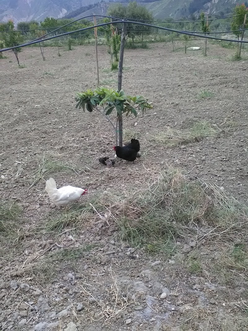 B&B Le Terrazze in Bernalda, Italy