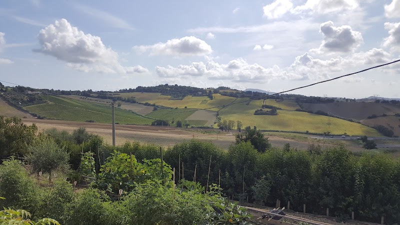 B&B Monteferro in Ancona, Italy